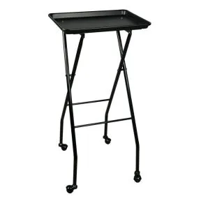 Beauty International Folding Trolley and Tint Stand